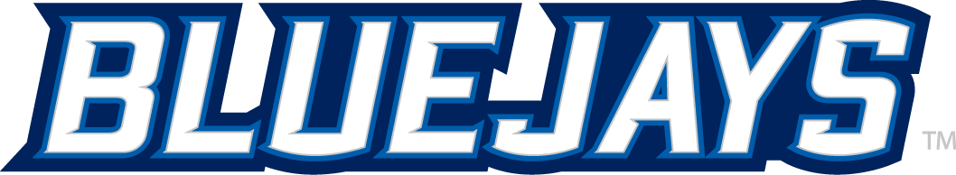 Creighton Bluejays 2013-Pres Wordmark Logo v2 DIY iron on transfer (heat transfer)